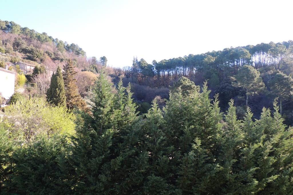 Les Chataigniers Appartement Meuble Saint Sebastien d'Aigrefeuille Zewnętrze zdjęcie