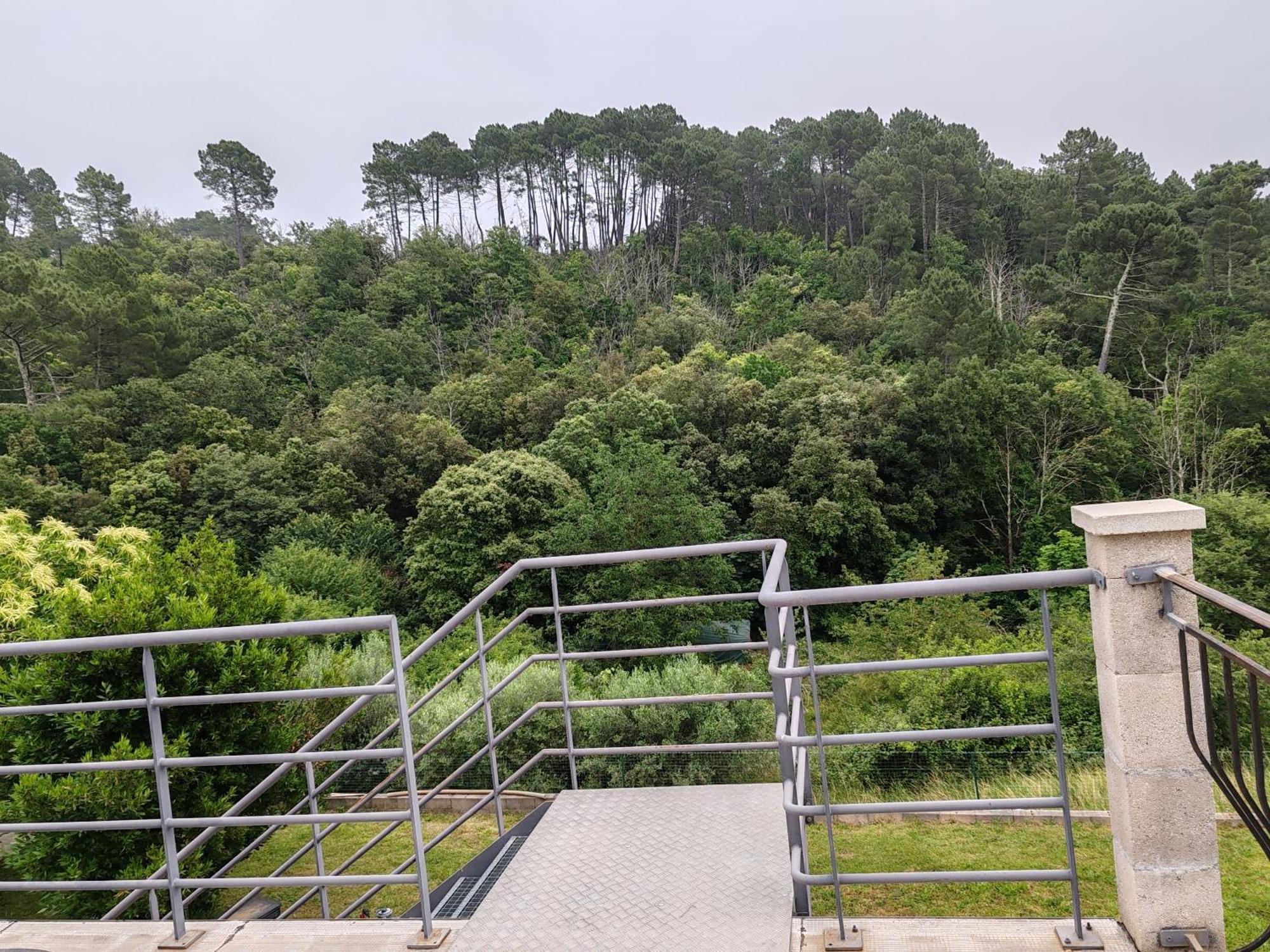 Les Chataigniers Appartement Meuble Saint Sebastien d'Aigrefeuille Zewnętrze zdjęcie